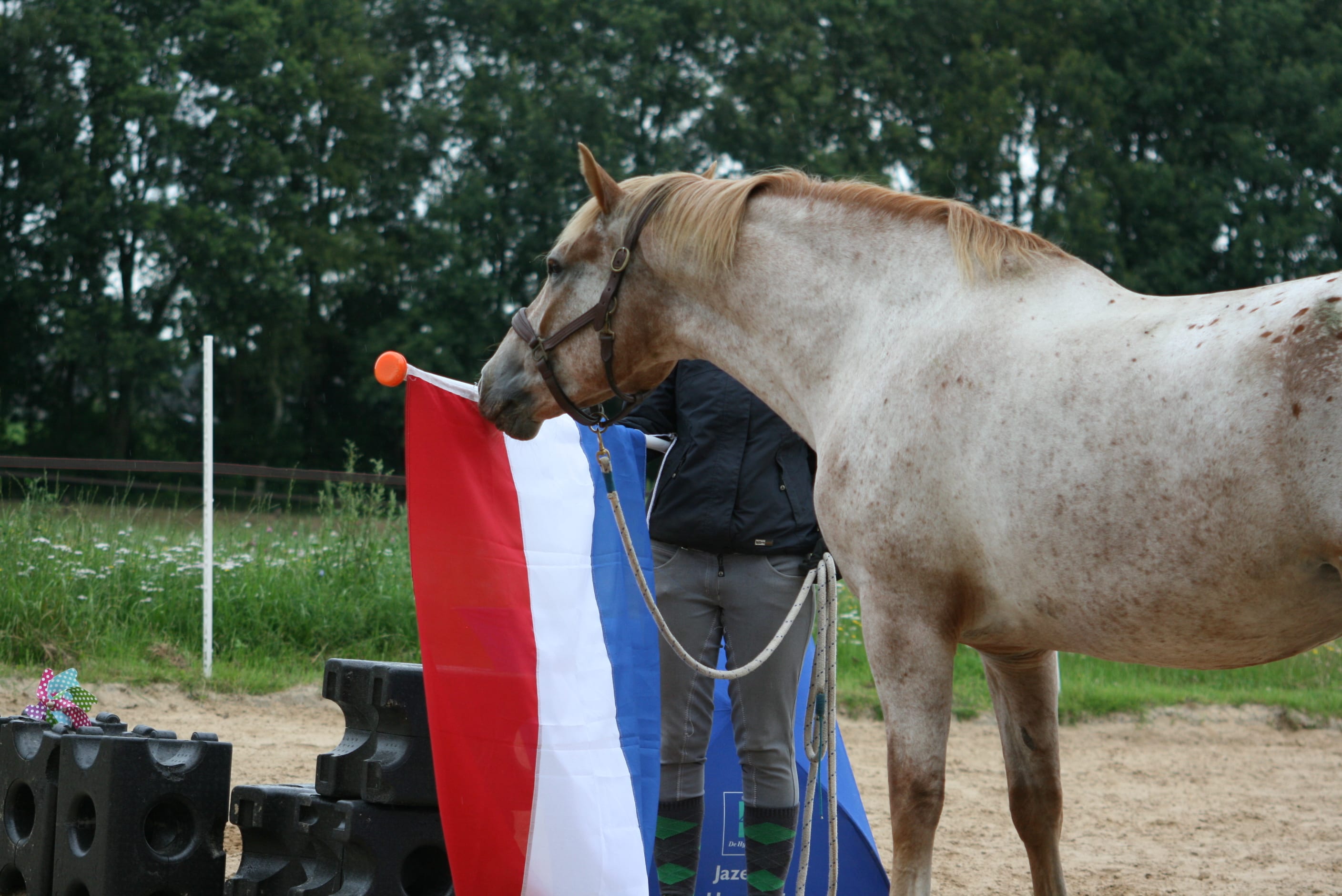 schriktraining aan de hand 124